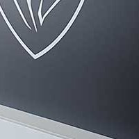 Décors adhésifs - Peugeot Annemasse