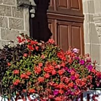 Accès publicité - Banderoles - Commune de Cranves- Sales