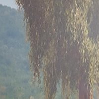 Cadre en toile tendue sur châssis - Oliva Cantina Litasco