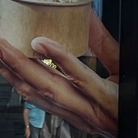 Marquage de vitrines - Berliner