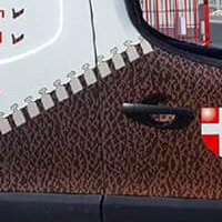 Covering partiel - Sellerie Thierry